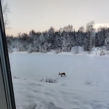 Villa Arctic Haven - Waterfront Rovaniemi
